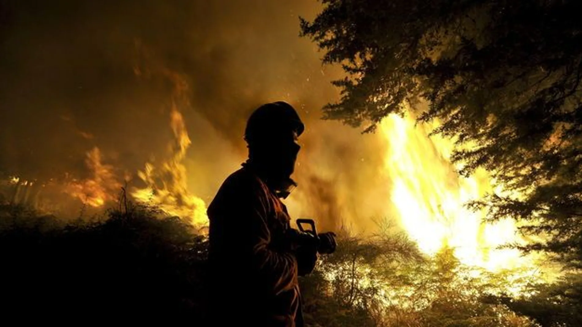 Bomberos de Madrid ayudan a extinguir el fuego en Portugal Bomberos de Madrid ayudan a extinguir el fuego en Portugal