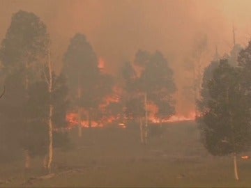 Un incendio forestal en Utah provoca la evacuación de los residentes de la zona Un incendio forestal en Utah provoca la evacuación de los residentes de la zona