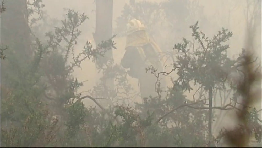 Provocan un incendio forestal al quemar una máquina de tabaco en mitad de un bosque