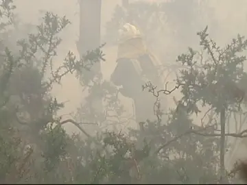 Provocan un incendio forestal al quemar una máquina de tabaco en mitad de un bosque Provocan un incendio forestal al quemar una máquina de tabaco en mitad de un bosque