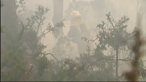 Provocan un incendio forestal al quemar una máquina de tabaco en mitad de un bosque Provocan un incendio forestal al quemar una máquina de tabaco en mitad de un bosque