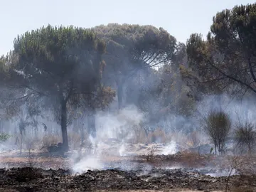 Incendio en Doñana Incendio en Doñana