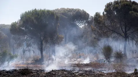 Incendio en Doñana Incendio en Doñana