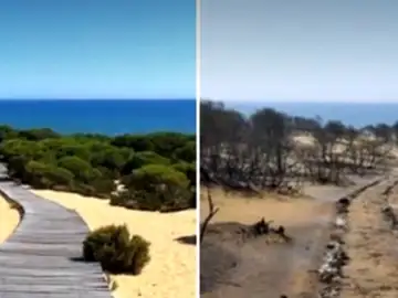 El antes y el después de Doñana tras el incendio de Huelva El antes y el después de Doñana tras el incendio de Huelva