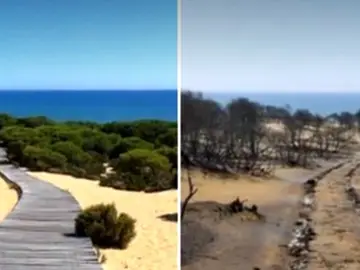 El antes y el después de Doñana tras el incendio de Huelva El antes y el después de Doñana tras el incendio de Huelva