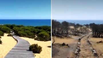 El antes y el después de Doñana tras el incendio de Huelva