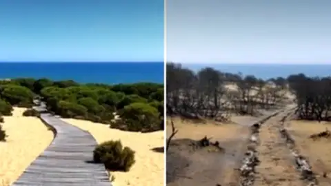 El antes y el después de Doñana tras el incendio de Huelva El antes y el después de Doñana tras el incendio de Huelva