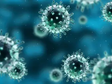 Bacterias Bacterias