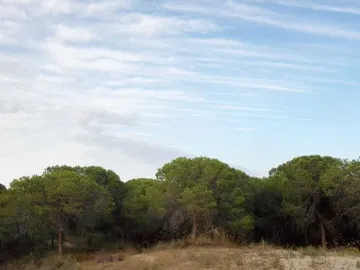 Cielos despejados Cielos despejados
