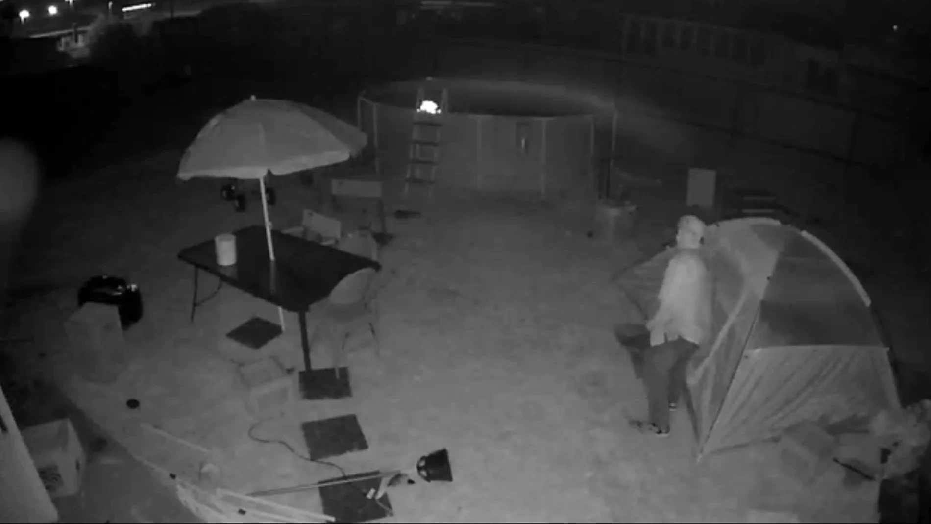 El pederasta en el patio trasero El pederasta en el patio trasero