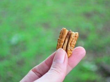 Las nueces, ricas en PUFAs.