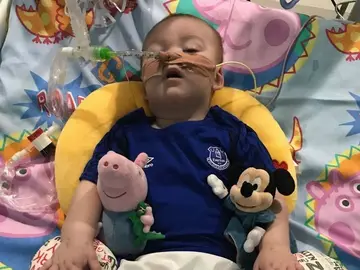 Alfie Evans, intubado en el hospital Alfie Evans, intubado en el hospital
