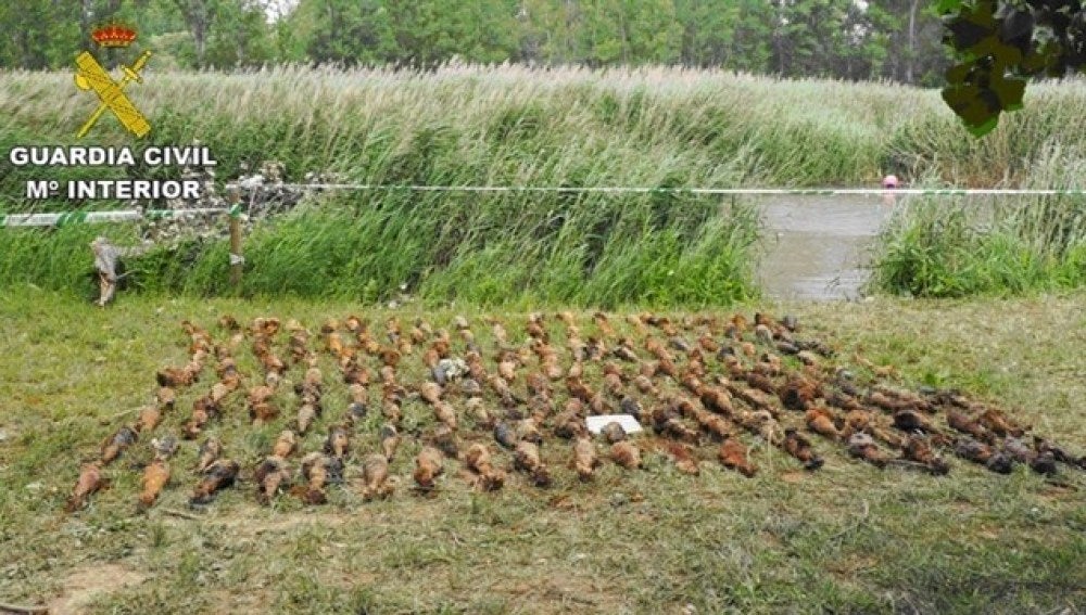 El arsenal de bombas de la Guerra Civil hallado en Teruel