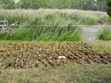 El arsenal de bombas de la Guerra Civil hallado en Teruel El arsenal de bombas de la Guerra Civil hallado en Teruel