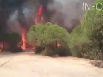 Incendio forestal en Riotinto que obliga a desalojar algunas viviendas Incendio forestal en Riotinto que obliga a desalojar algunas viviendas
