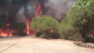 Activan el nivel 1 por el incendio forestal de Riotinto, que obliga a desalojar algunas viviendas