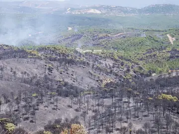 Estabilizado el incendio de Riotinto (Huelva) 29 horas después de declararse Estabilizado el incendio de Riotinto (Huelva) 29 horas después de declararse
