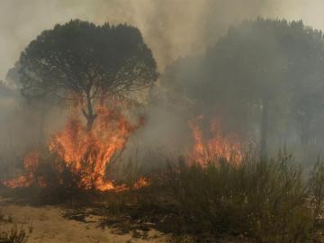 Imagen de un incendio en la provincia de Huelva con la intervención del UME