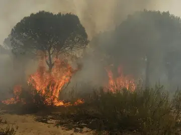 Imagen de un incendio en la provincia de Huelva con la intervención del UME Imagen de un incendio en la provincia de Huelva con la intervención del UME