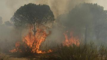 Imagen de un incendio en la provincia de Huelva con la intervención del UME
