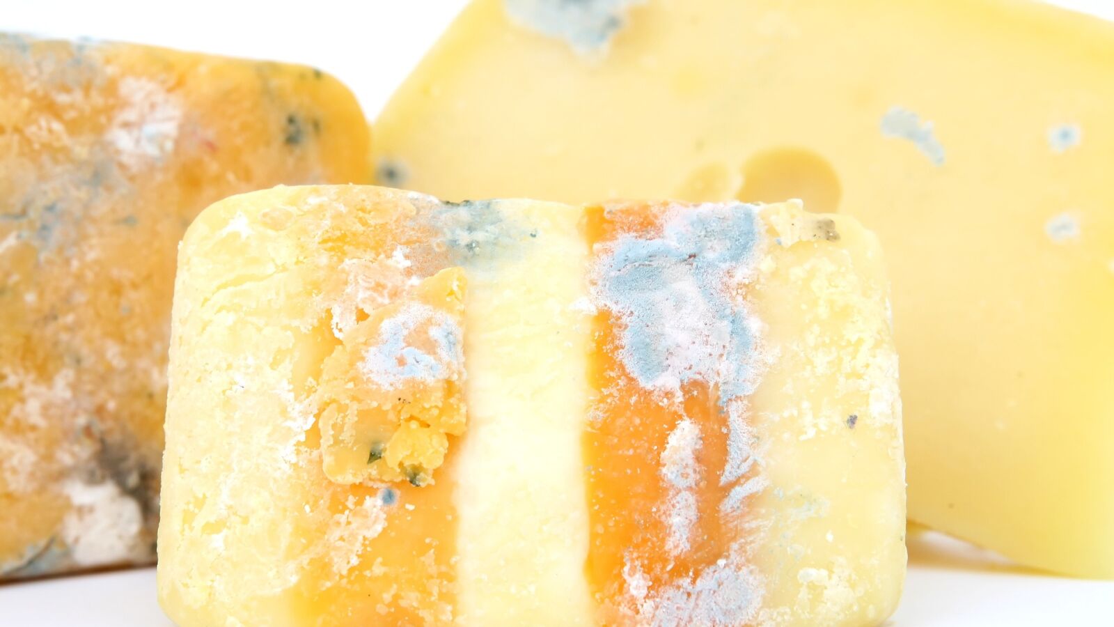 Hay miles de millones de microbios y bacterias en los alimentos que comes a diario