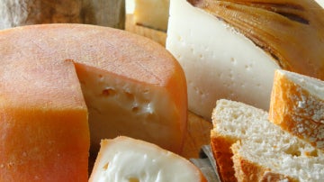 Diferentes variedades de quesos