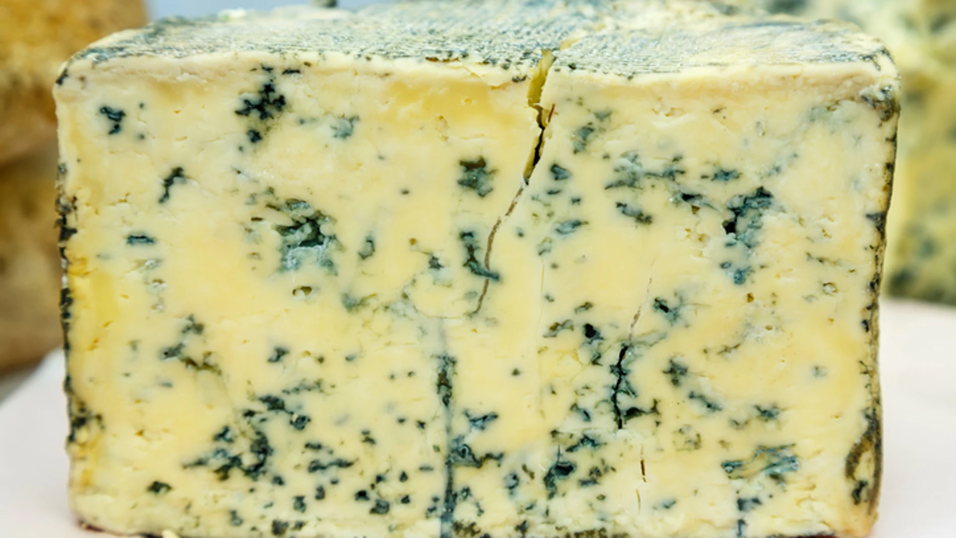 Queso Cabrales Queso Cabrales