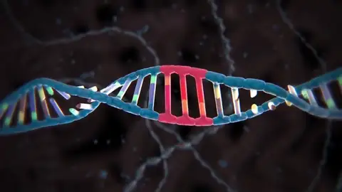 Guardan un vídeo en el ADN de una bacteria Guardan un vídeo en el ADN de una bacteria