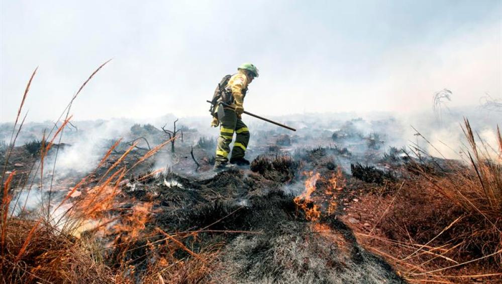 Un bombero trabaja en la extinción del incendio en el paraje de la Alhambra (Granada)