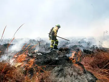 Un bombero trabaja en la extinción del incendio en el paraje de la Alhambra (Granada) Un bombero trabaja en la extinción del incendio en el paraje de la Alhambra (Granada)