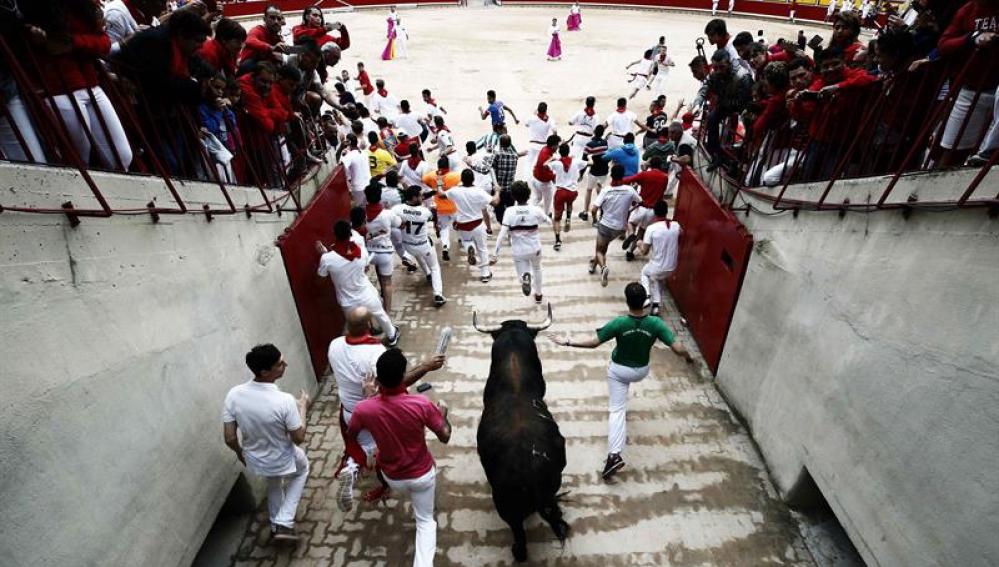 Los toros de Núñez del Cuvillo entran en la plaza en el séptimo encierro de San Fermín