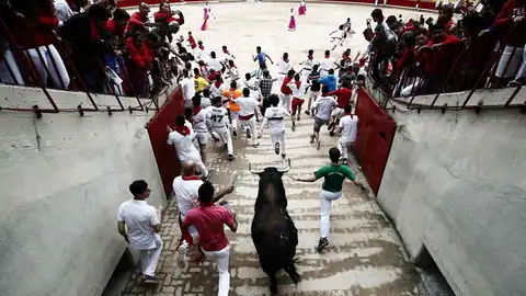 Los toros de Núñez del Cuvillo entran en la plaza en el séptimo encierro de San Fermín Los toros de Núñez del Cuvillo entran en la plaza en el séptimo encierro de San Fermín