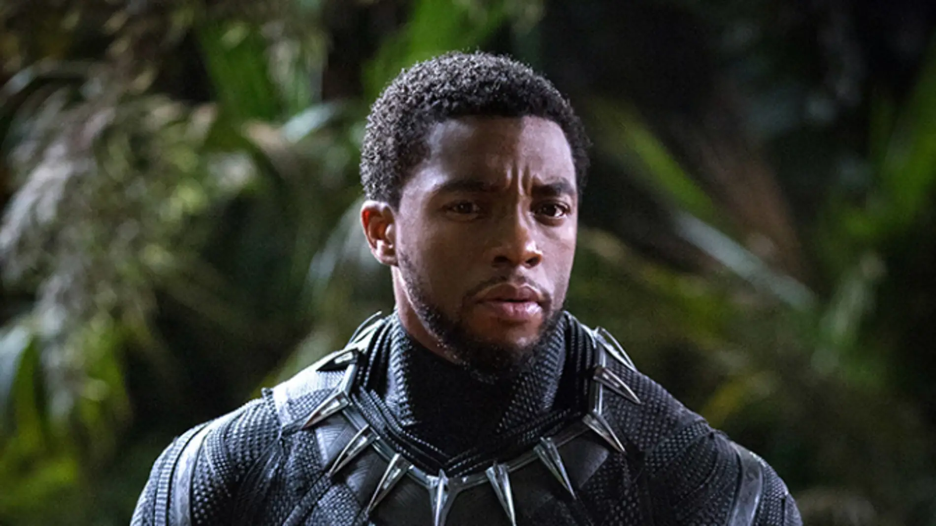 Fotograma de 'Black Panther'