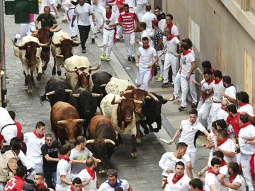Séptimo encierro San Fermín 2017 Séptimo encierro San Fermín 2017