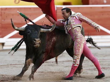 El torero Rafael Rubio Luján "Rafaelillo" El torero Rafael Rubio Luján "Rafaelillo"