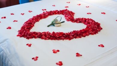 Una pareja busca un fotógrafo que inmortalice su noche de bodas, en la que perderán la virginidad