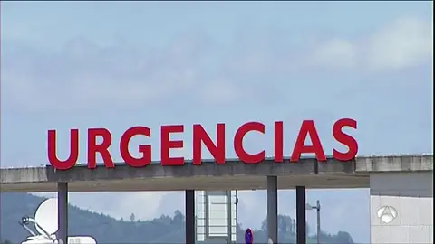 palizagijón palizagijón