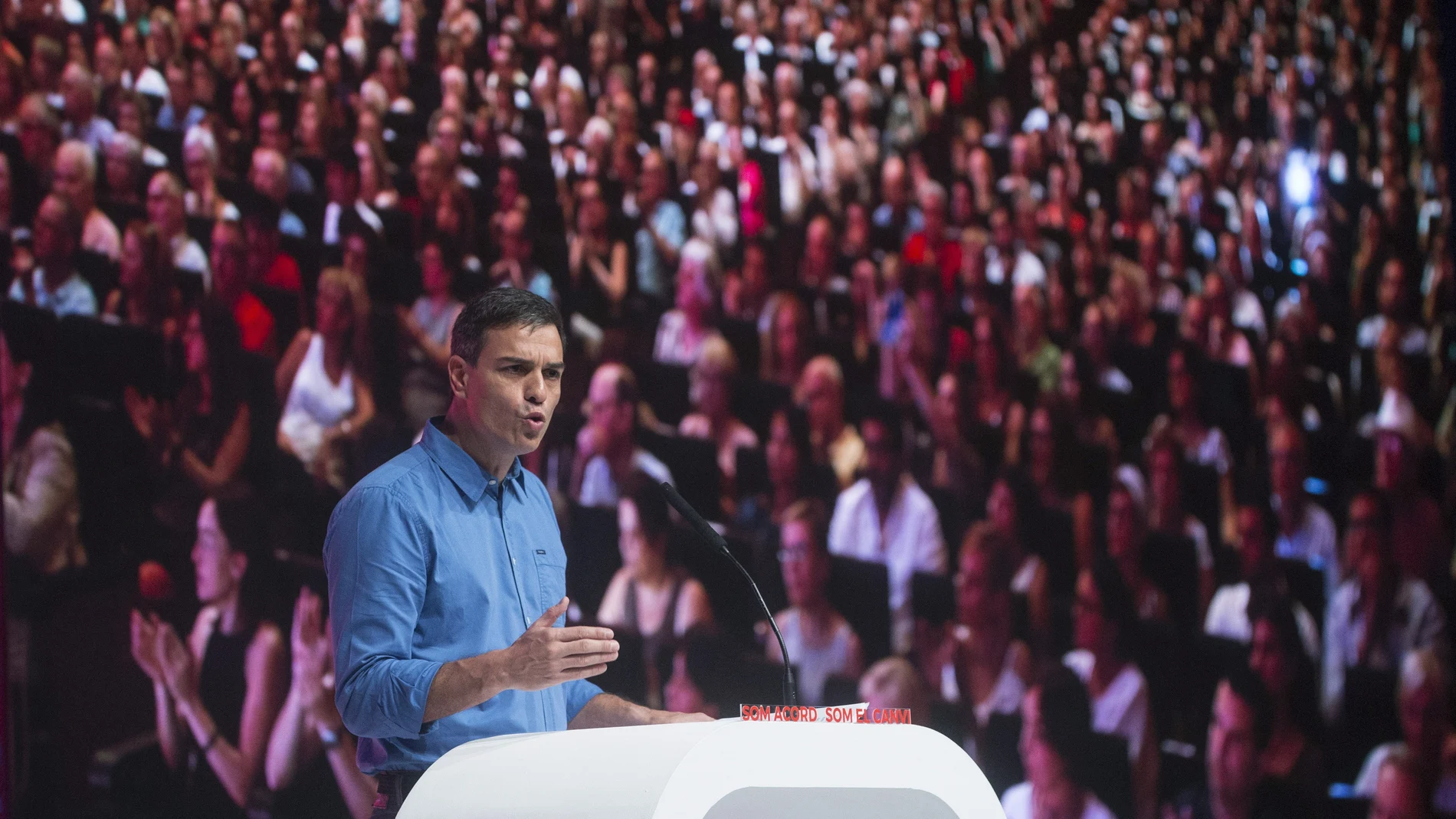 Pedro Sánchez Pedro Sánchez