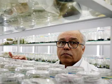 El investigador Gustavo Zúñiga de la Universidad de Santiago de Chile El investigador Gustavo Zúñiga de la Universidad de Santiago de Chile