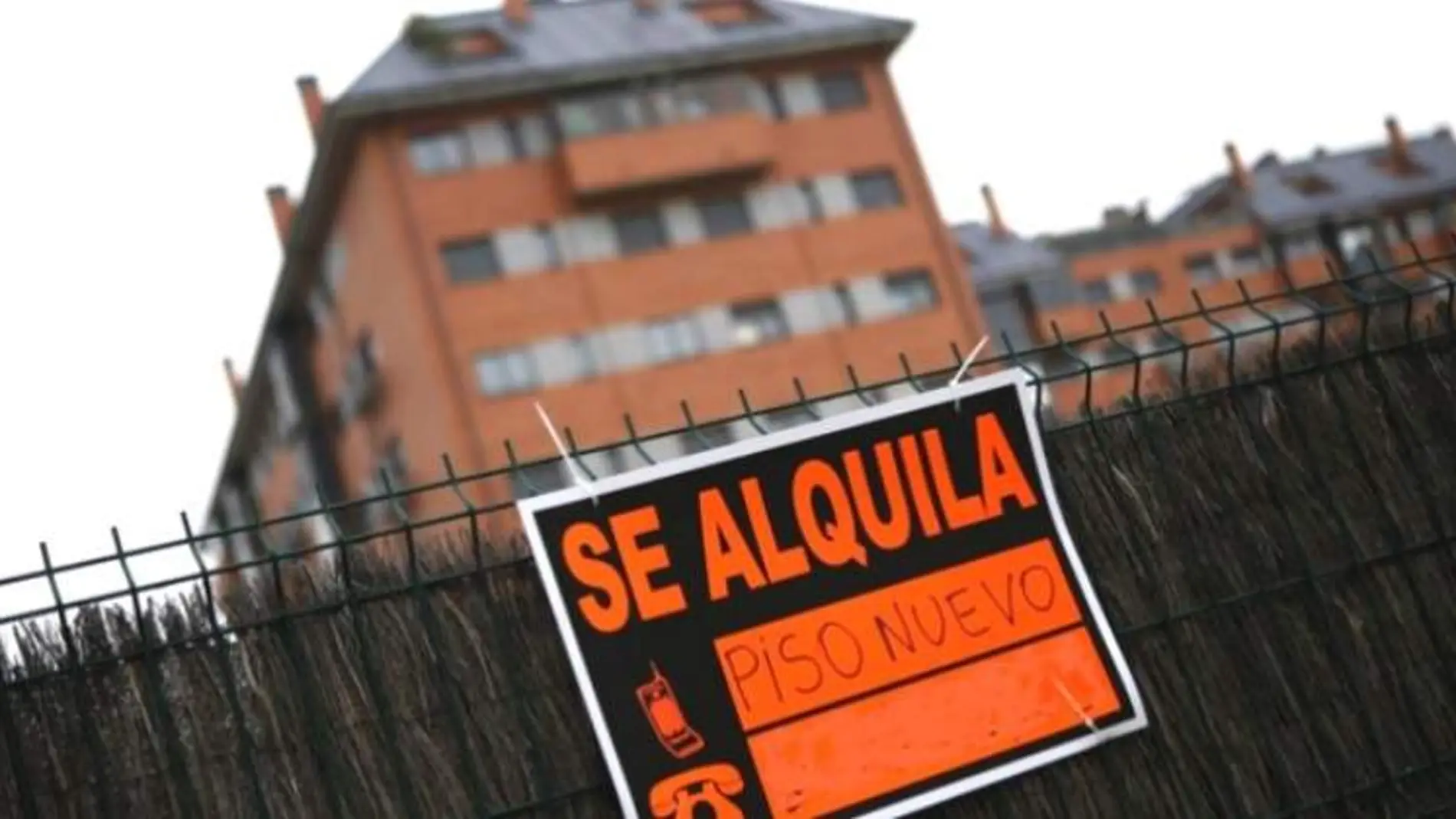 Piso en alquiler Piso en alquiler