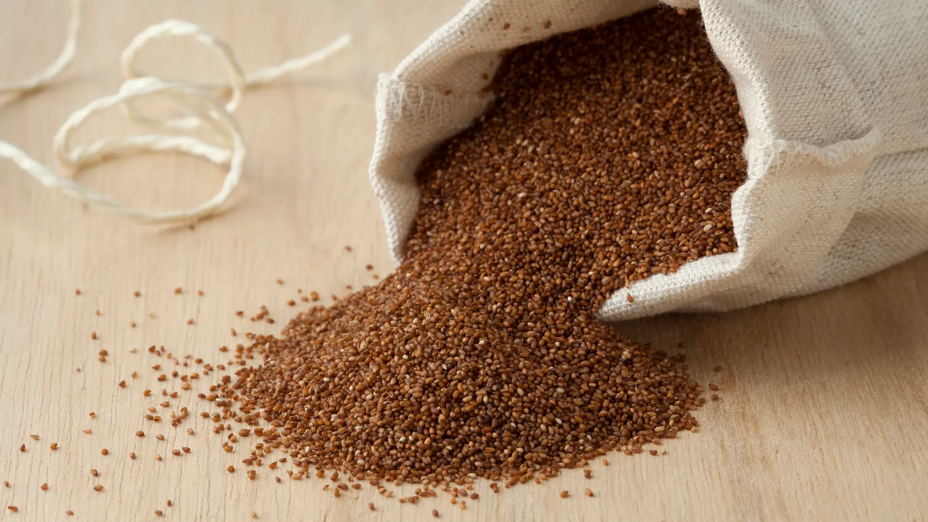 Teff, el cereal estrella