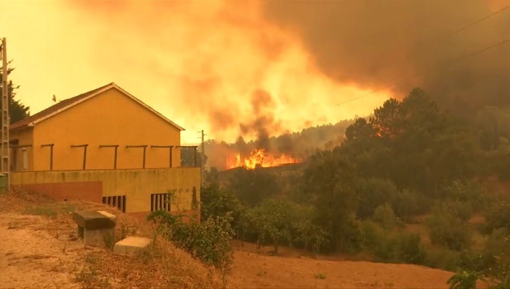 Miles de evacuados por incendios en la Costa Azul