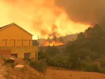Miles de evacuados por incendios en la Costa Azul Miles de evacuados por incendios en la Costa Azul