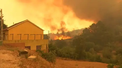 Miles de evacuados por incendios en la Costa Azul Miles de evacuados por incendios en la Costa Azul