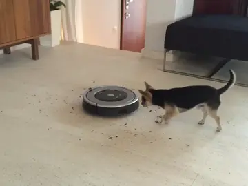 El electrodoméstico inteligente, un espía en casa El electrodoméstico inteligente, un espía en casa