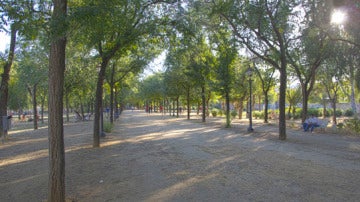 Parque Amate de Sevilla