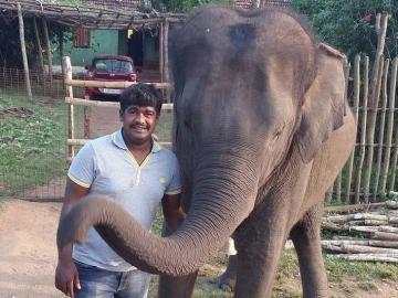 Una antigua foto de la víctima junto a un elefante