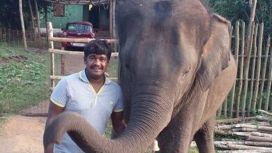Muere un joven indio cuando trataba de hacerse un 'selfi' con un elefante