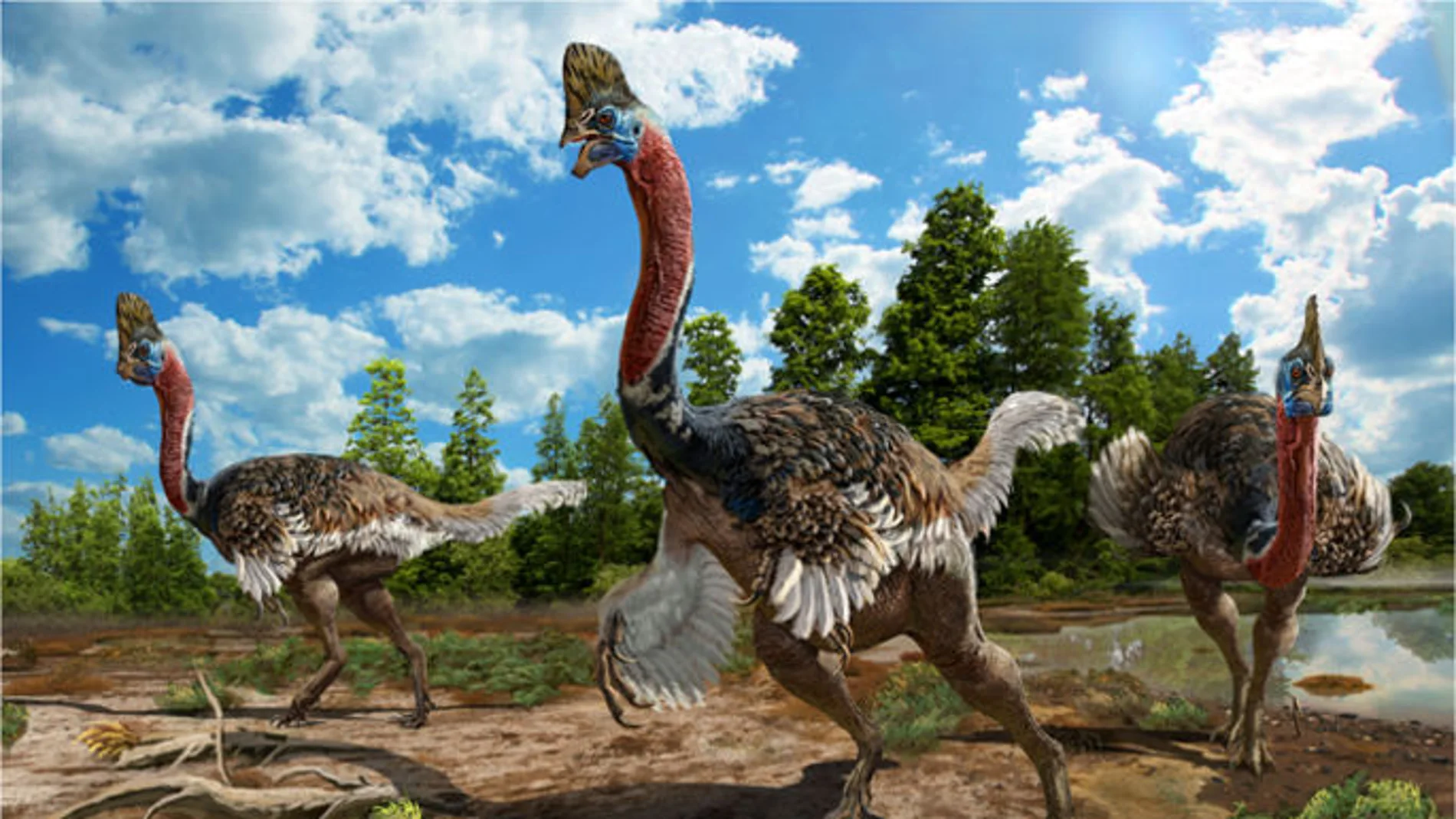 Hallada en China una nueva especie de dinosaurio de cuello largo y con cresta Hallada en China una nueva especie de dinosaurio de cuello largo y con cresta