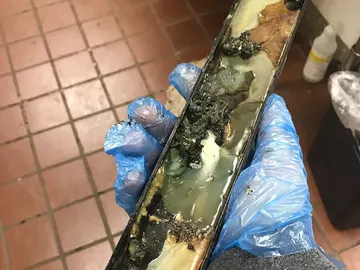 Presunta suciedad en la cocina de una hamburgesería Presunta suciedad en la cocina de una hamburgesería